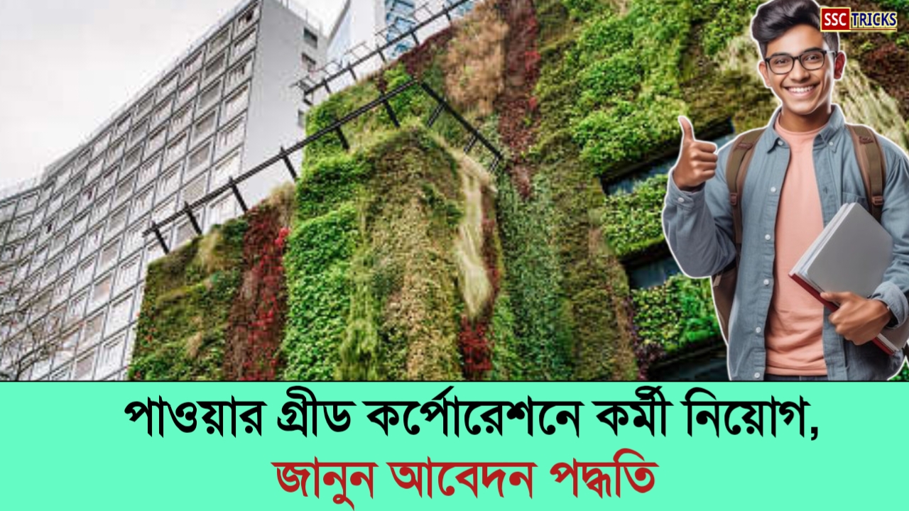 Power Grid Corporation Recruitment 2024 সুখবর! পাওয়ার গ্রীড